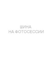 Шины Tunga 185/60 r14 Nordway 3 82Q Шипы